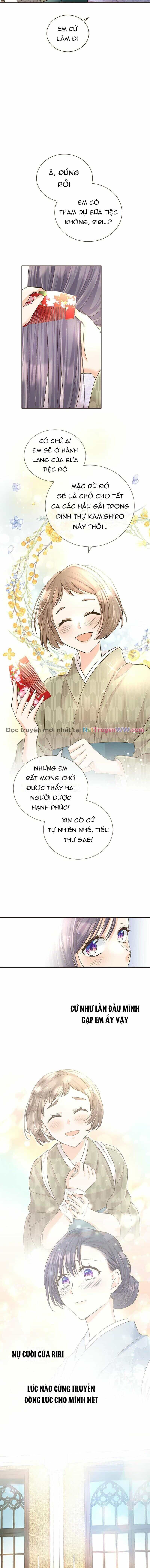 Cô Dâu Của Sói Trắng - Chương 12 - ảnh 5