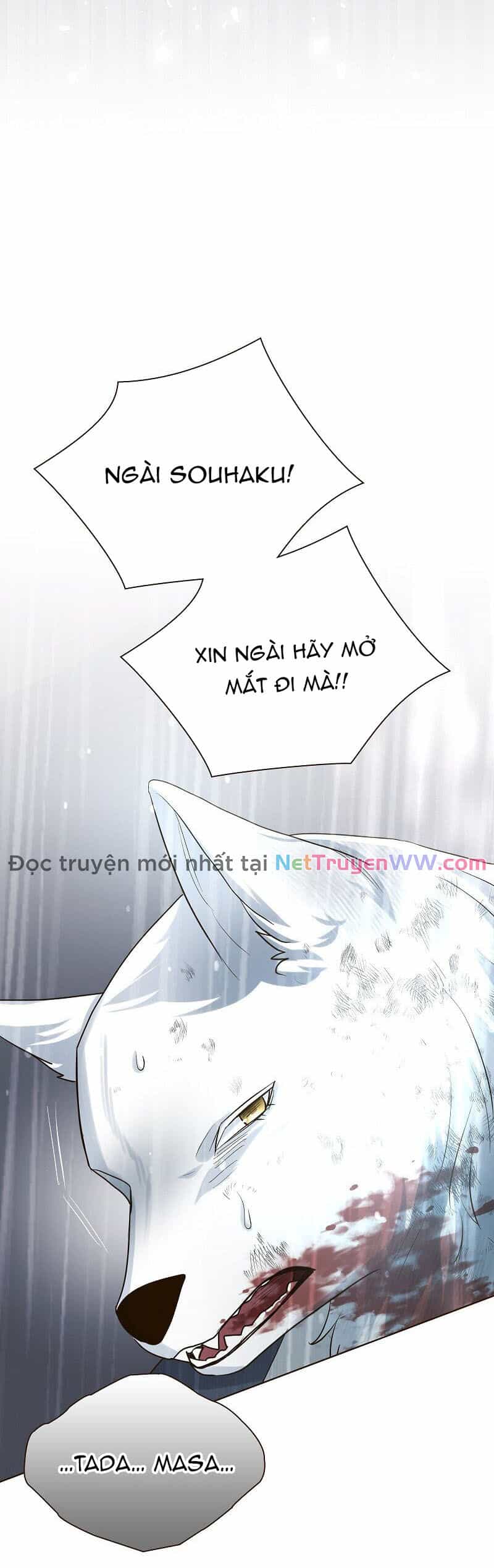 Cô Dâu Của Sói Trắng - Chương 41 - ảnh 38
