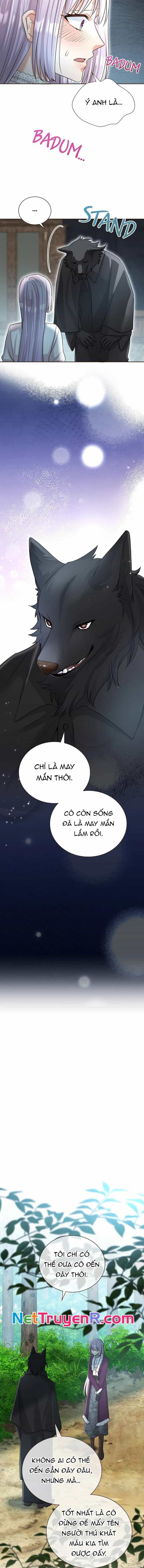 Cô Dâu Của Sói Trắng - Chương 68 - ảnh 7