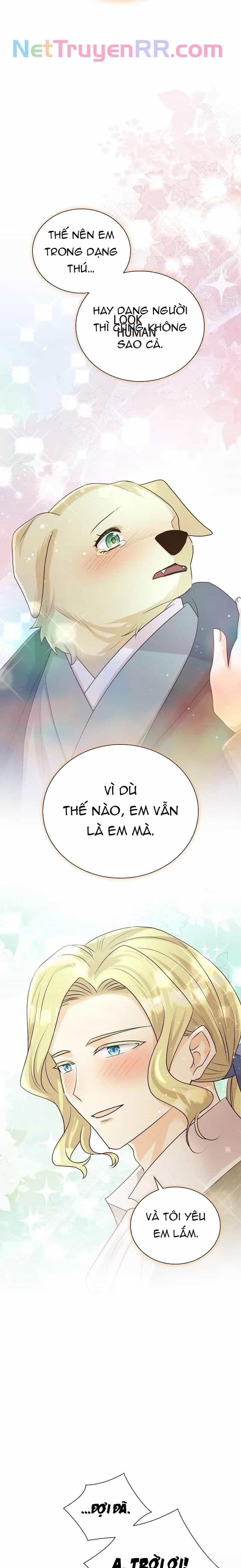 Cô Dâu Của Sói Trắng - Chương 75 - ảnh 14