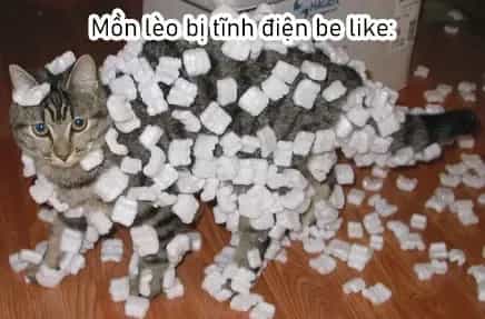 Cô Nàng Mèo Ngủ Gật Và Chàng Trai Hướng Nội - Chương 21.5 - ảnh 5