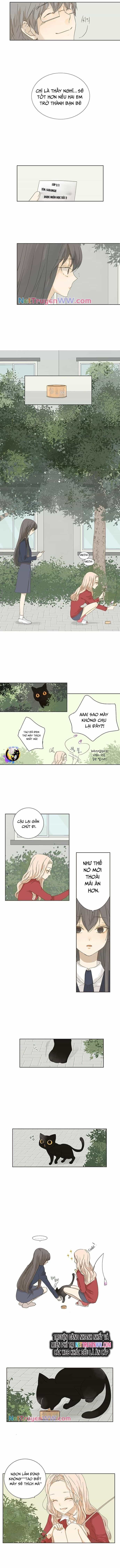 Cô Nàng Sắc Sảo - Chương 2 - ảnh 5