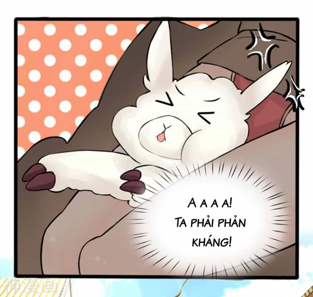 Cô Nương Xấu Xí Của Trẫm - Chương 25 - ảnh 8
