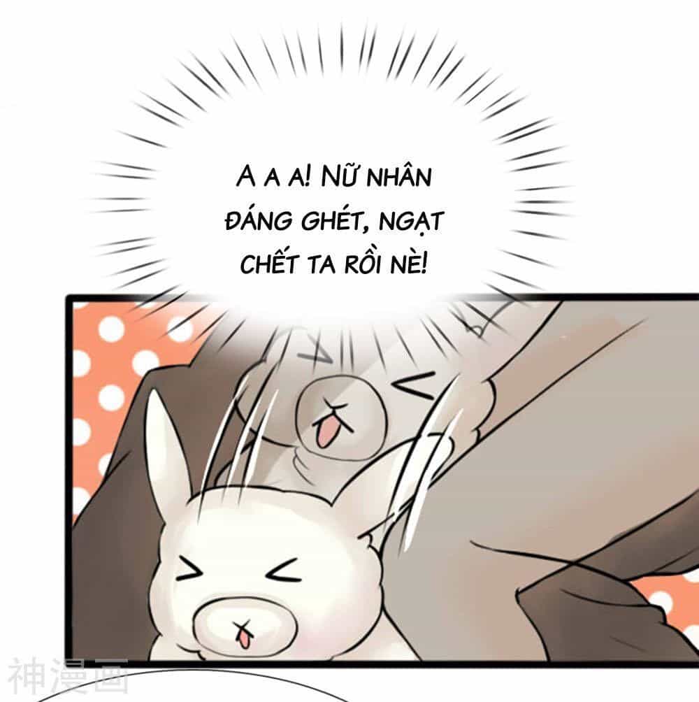 Cô Nương Xấu Xí Của Trẫm - Chương 26 - ảnh 3