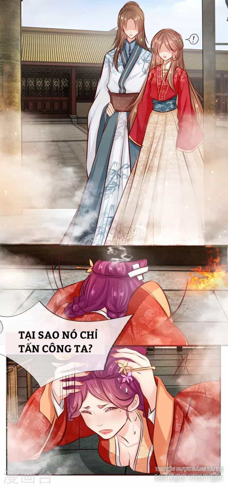 Cô Nương Xấu Xí Của Trẫm - Chương 8 - ảnh 16