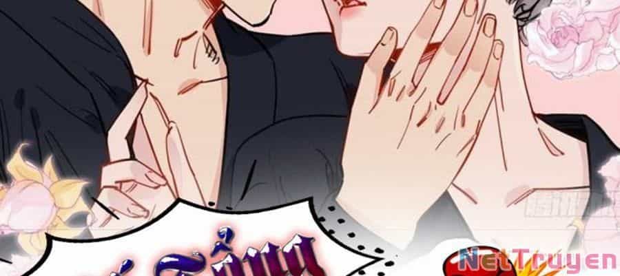 Cố Tổng, Vợ Của Ngài Quá Mạnh Rồi! - Chương 99 - ảnh 3