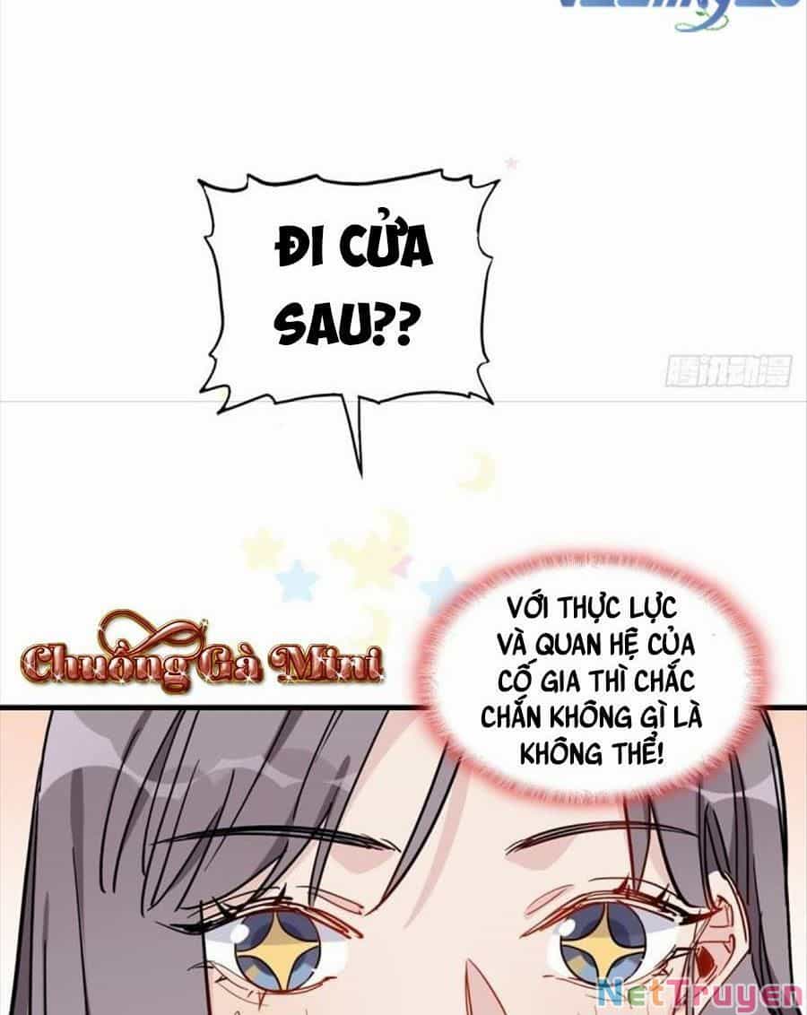 Cố Tổng, Vợ Của Ngài Quá Mạnh Rồi! - Chương 91 - ảnh 53