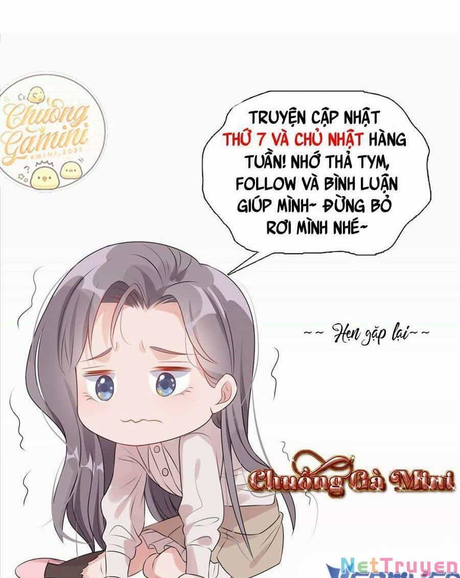 Cố Tổng, Vợ Của Ngài Quá Mạnh Rồi! - Chương 91 - ảnh 72