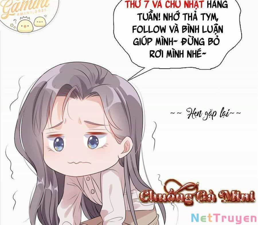Cố Tổng, Vợ Của Ngài Quá Mạnh Rồi! - Chương 94 - ảnh 66