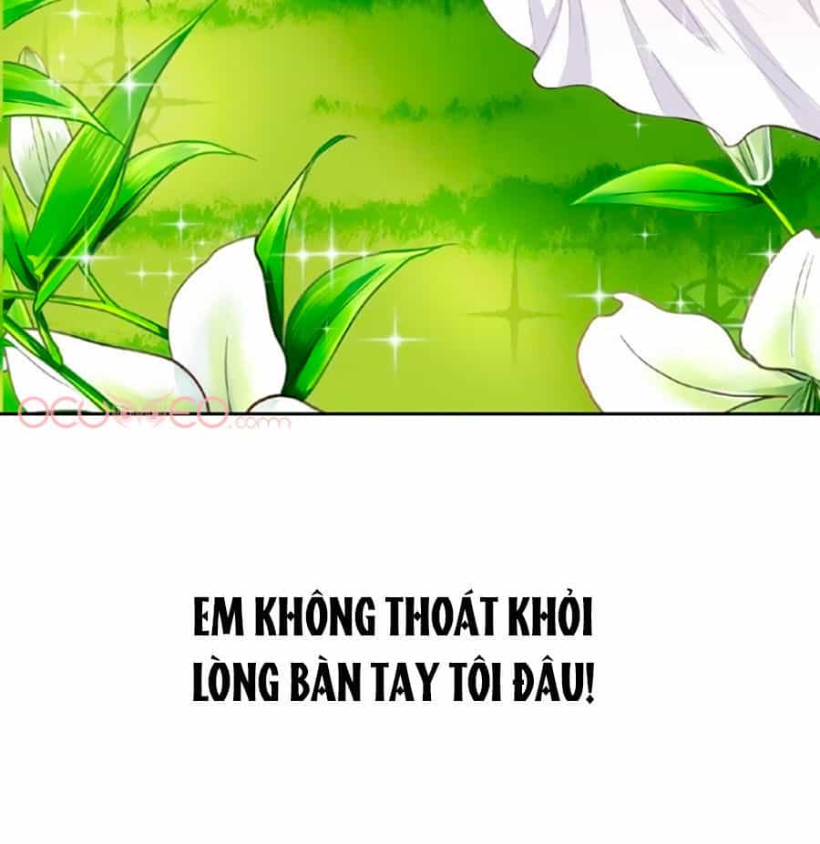 Cô Vợ Gả Thay Của Tổng Tài Cố Chấp - Chương 2 - ảnh 59