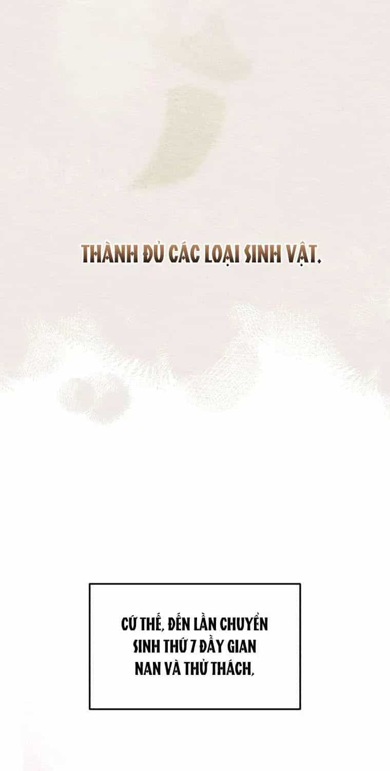 Con Dâu Của Kẻ Phản Diện Là Một Người Có Quyền Lực - Chương 0 - ảnh 30