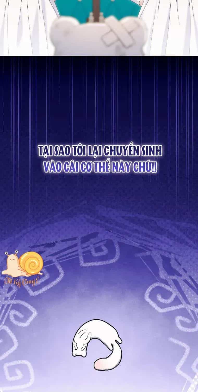Con Dâu Của Kẻ Phản Diện Là Một Người Có Quyền Lực - Chương 0 - ảnh 36