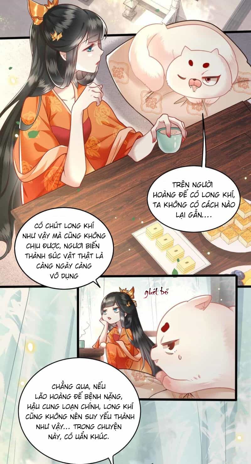 Con Đường Hoang Dã Của Vương Phi - Chương 17 - ảnh 3