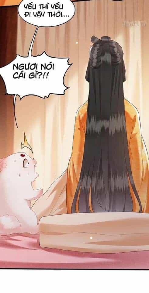 Con Đường Hoang Dã Của Vương Phi - Chương 28 - ảnh 17