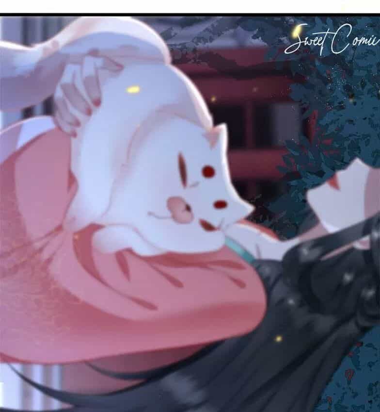 Con Đường Hoang Dã Của Vương Phi - Chương 6 - ảnh 26