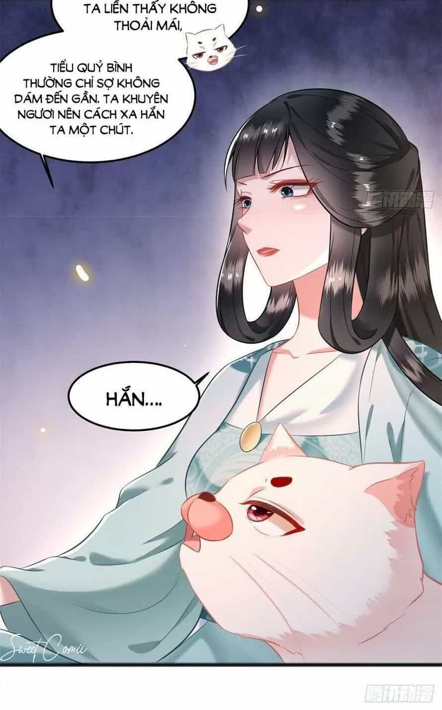 Con Đường Hoang Dã Của Vương Phi - Chương 8 - ảnh 13