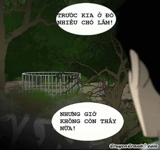 Con Đường Sau Núi - Chương 2 - ảnh 8