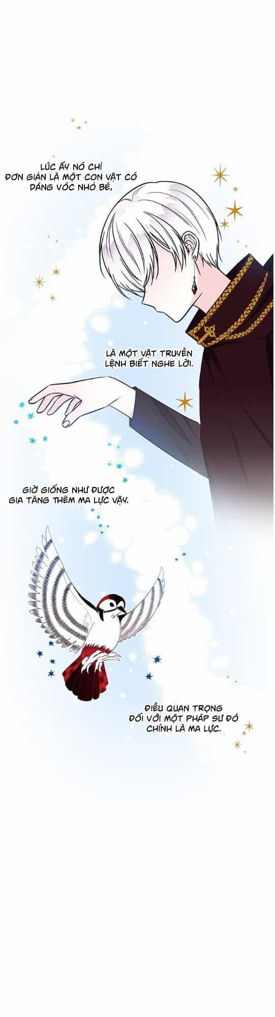 Con Gái Của Đại Pháp Sư - Chương 20 - ảnh 20