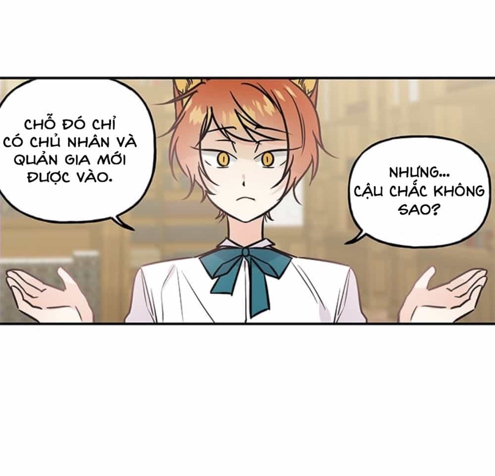 Con Gái Của Đại Pháp Sư - Chương 8 - ảnh 25