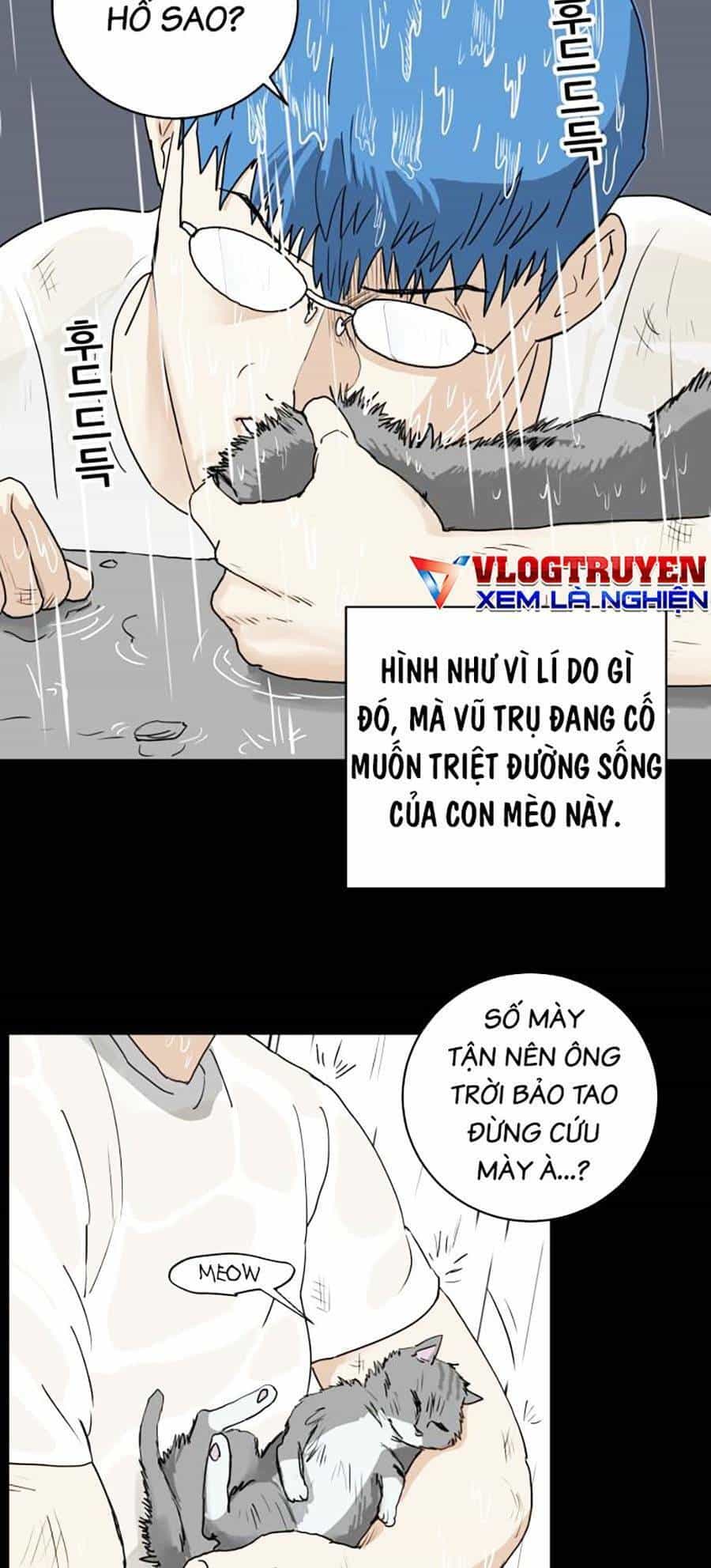 Con Mèo Đô Vật Của Tôi - Chương 1 - ảnh 17