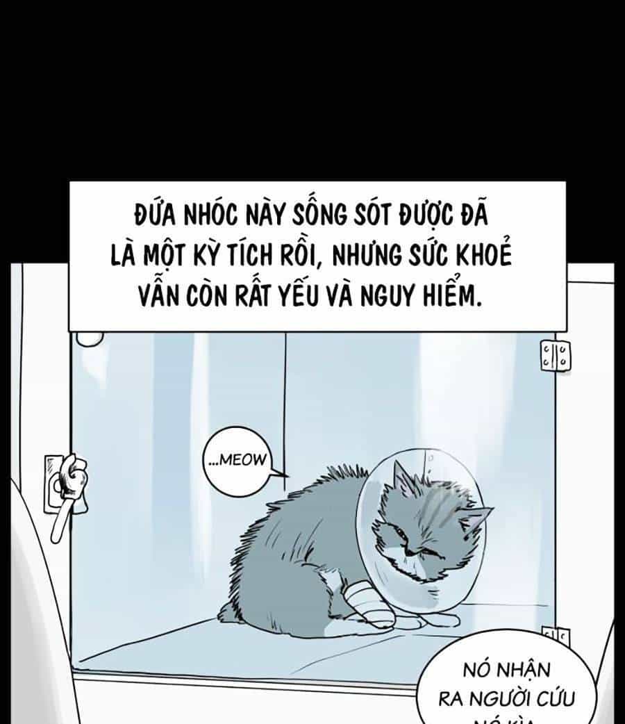 Con Mèo Đô Vật Của Tôi - Chương 1 - ảnh 23