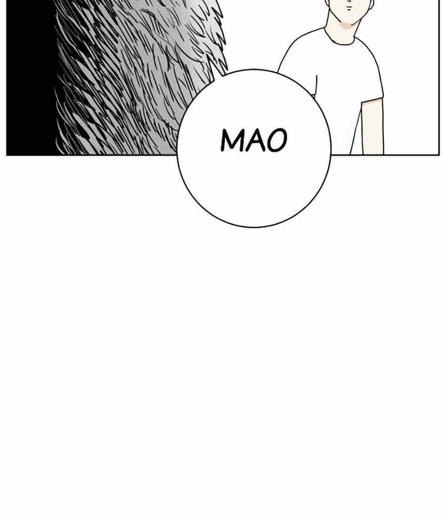 Con Mèo Đô Vật Của Tôi - Chương 1 - ảnh 27
