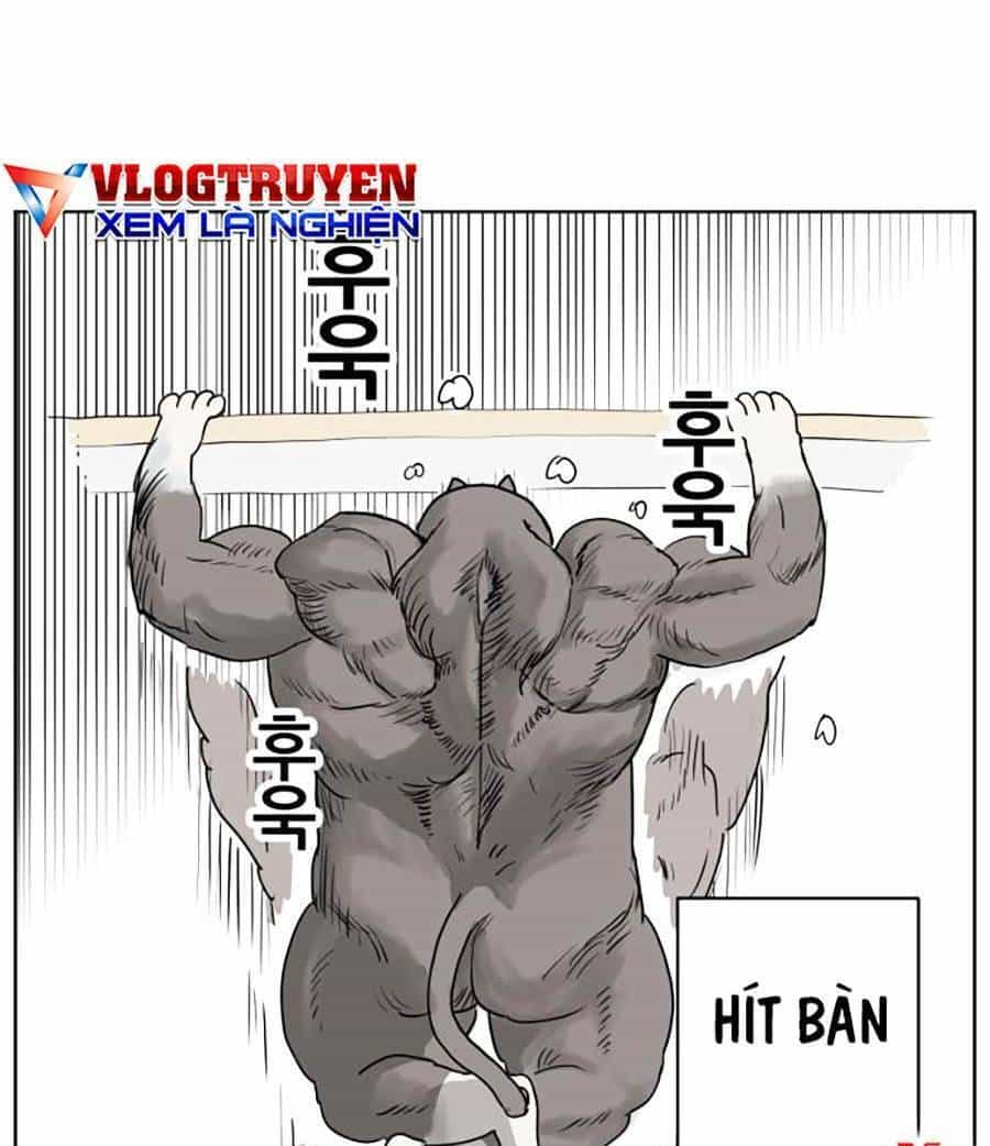 Con Mèo Đô Vật Của Tôi - Chương 1 - ảnh 33