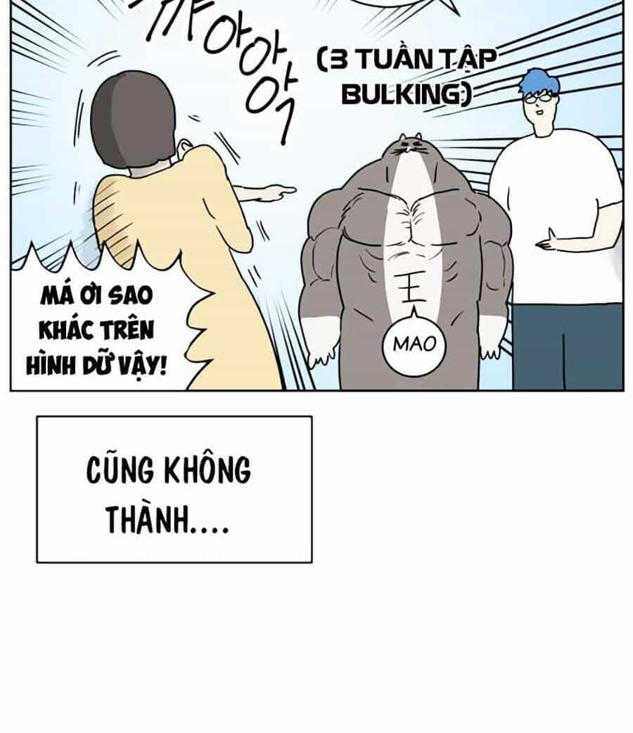 Con Mèo Đô Vật Của Tôi - Chương 1 - ảnh 52