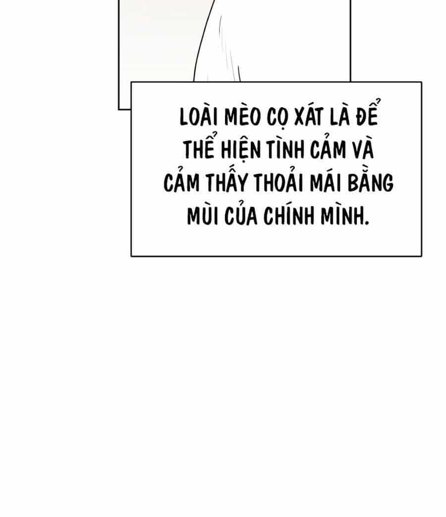 Con Mèo Đô Vật Của Tôi - Chương 1 - ảnh 73