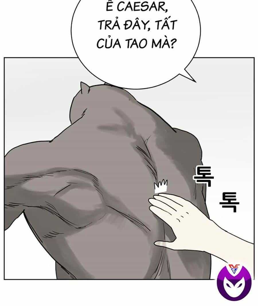 Con Mèo Đô Vật Của Tôi - Chương 2 - ảnh 10