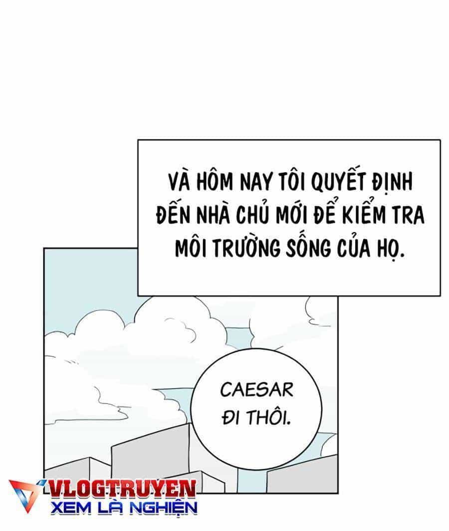 Con Mèo Đô Vật Của Tôi - Chương 2 - ảnh 3