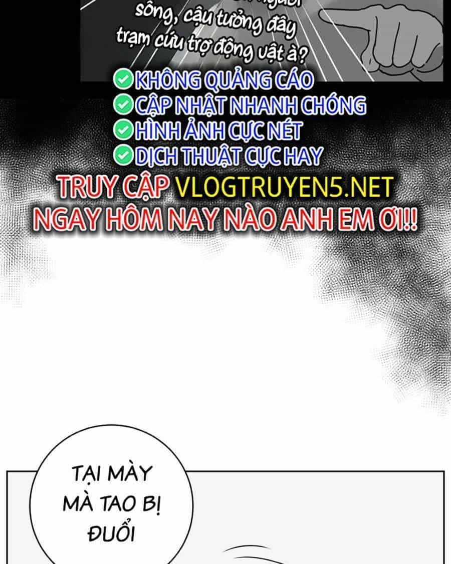 Con Mèo Đô Vật Của Tôi - Chương 2 - ảnh 39