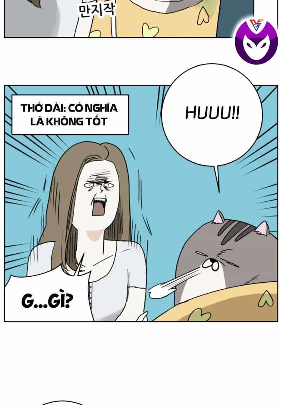 Con Mèo Đô Vật Của Tôi - Chương 3 - ảnh 25