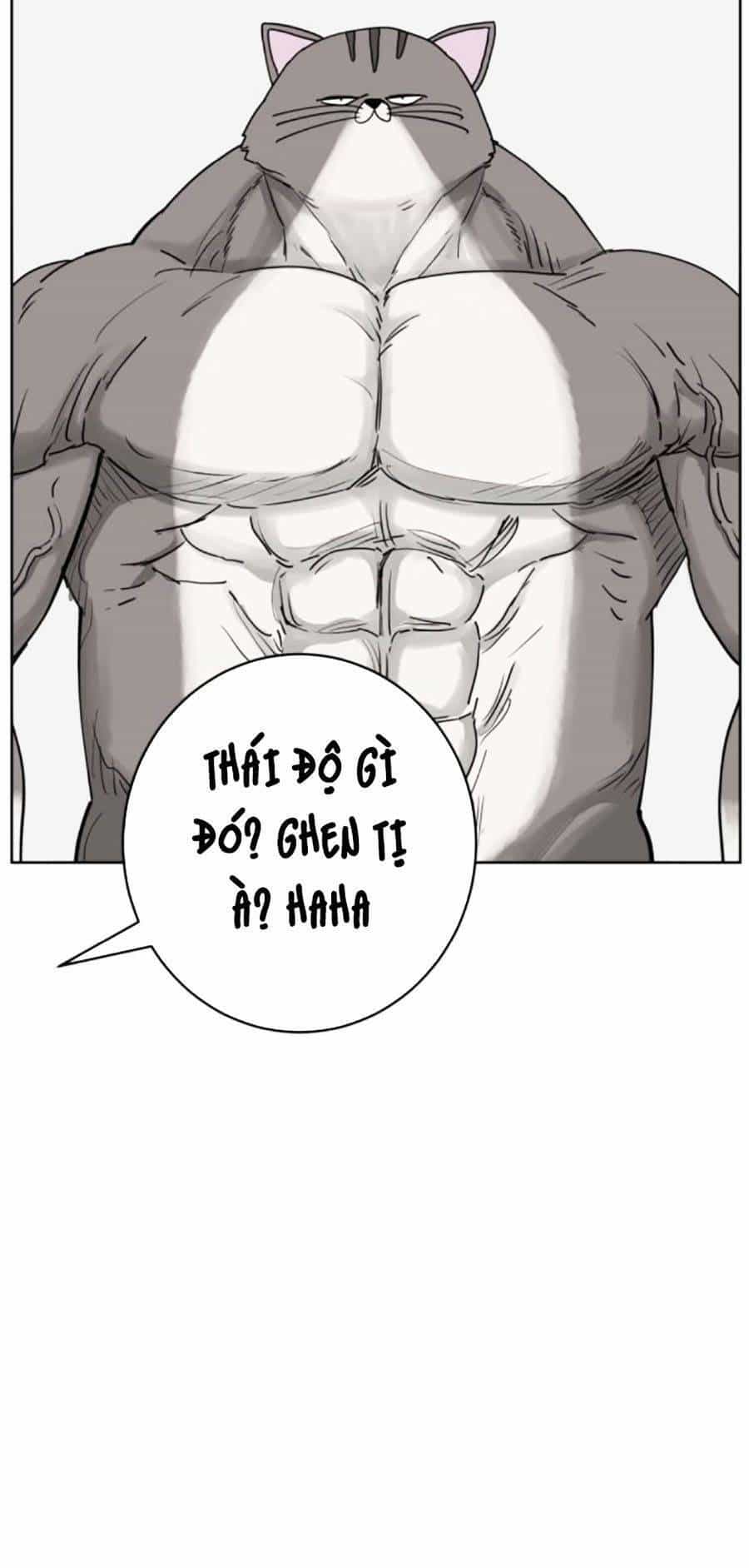 Con Mèo Đô Vật Của Tôi - Chương 4 - ảnh 4