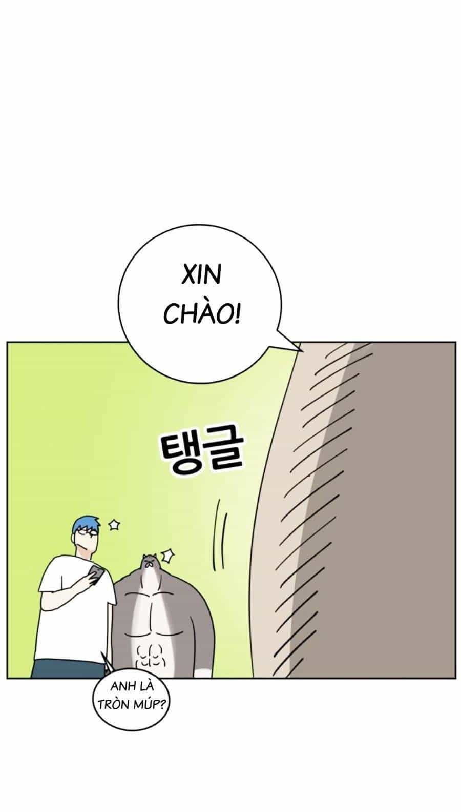 Con Mèo Đô Vật Của Tôi - Chương 5 - ảnh 13