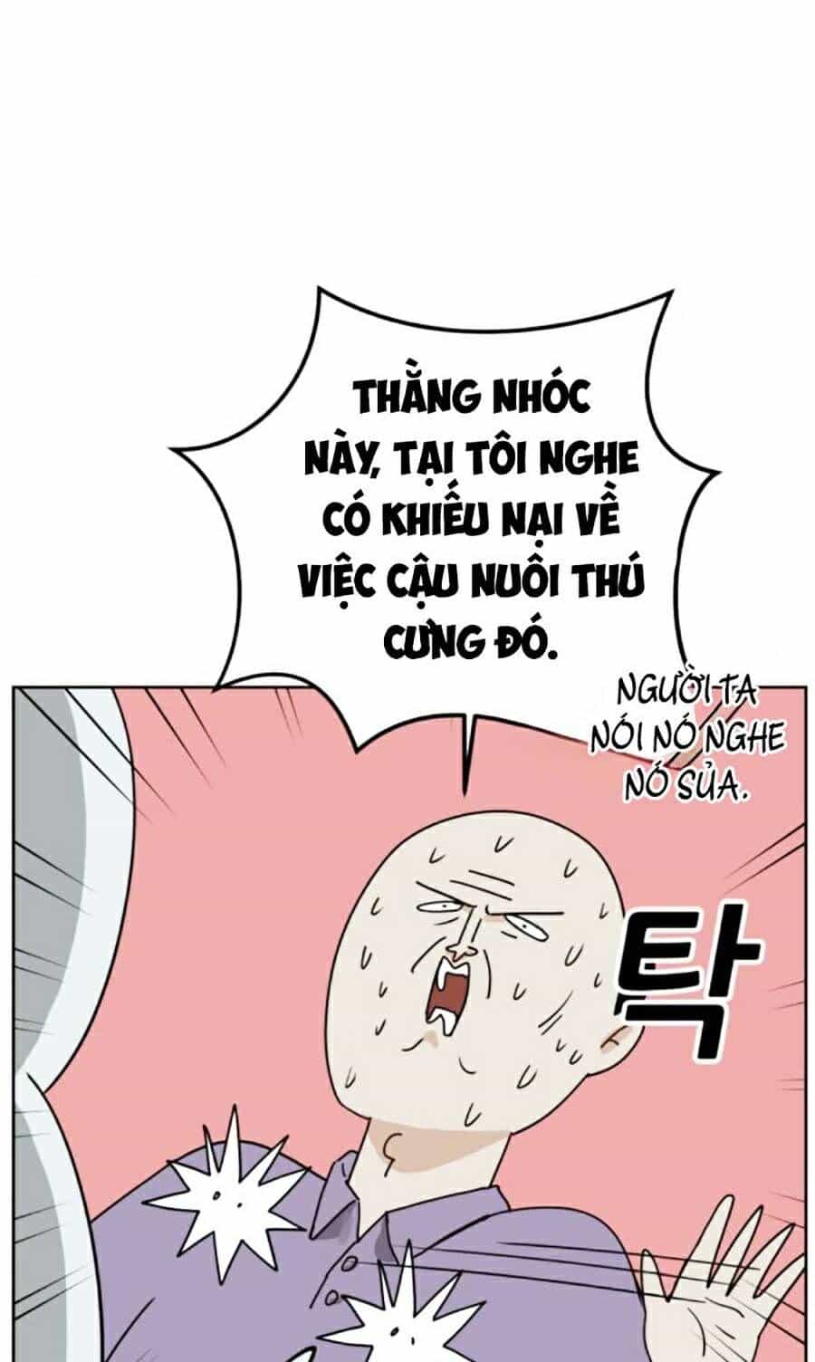 Con Mèo Đô Vật Của Tôi - Chương 6 - ảnh 14