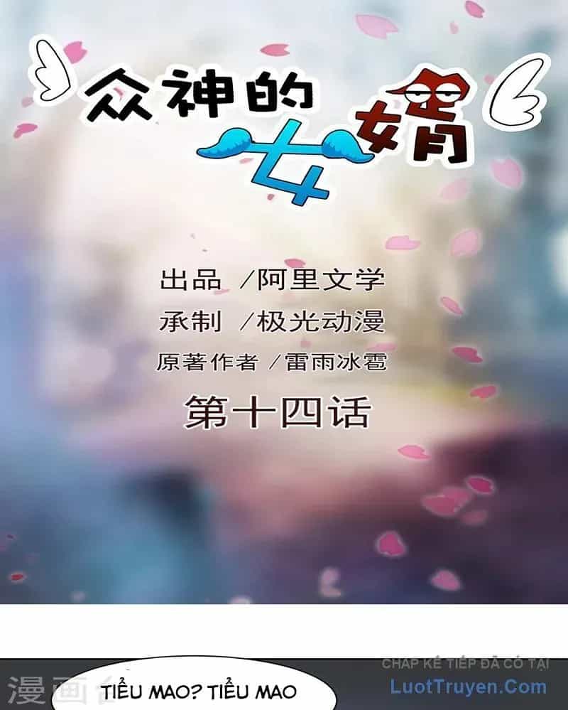 Con Rể Của Các Vị Thần - Chương 14 - ảnh 3