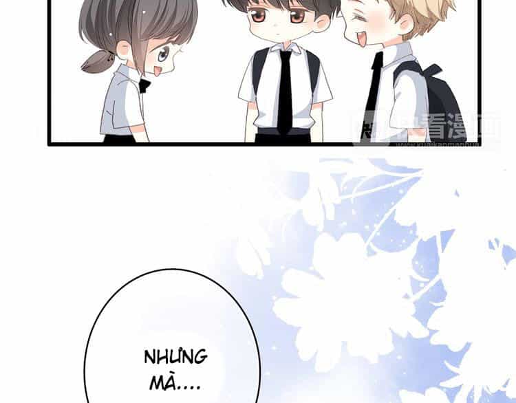 Con Tim Rung Động - Chương 24 - ảnh 25