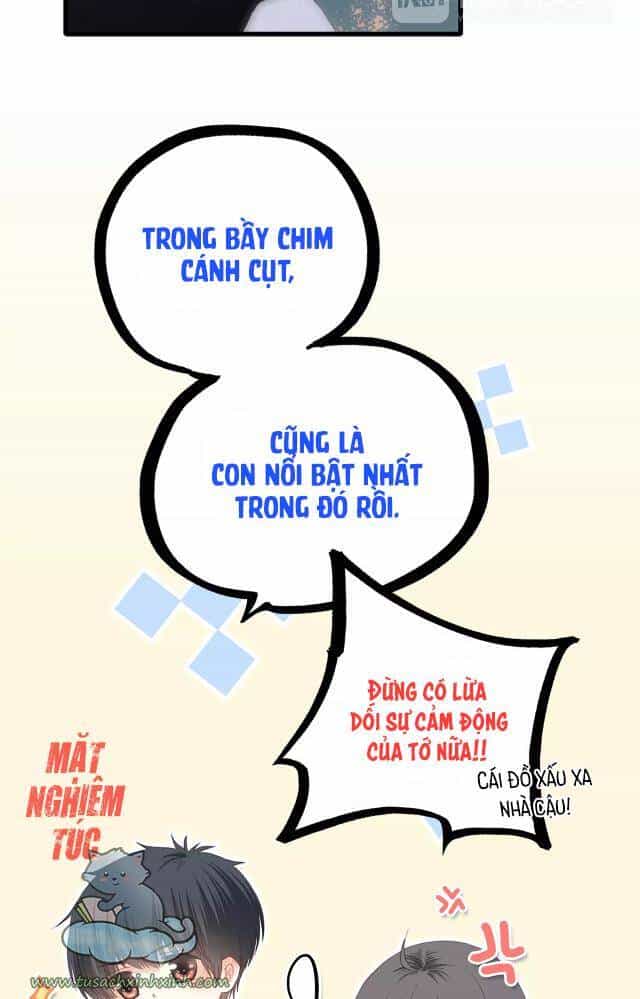 Con Tim Rung Động - Chương 67 - ảnh 88