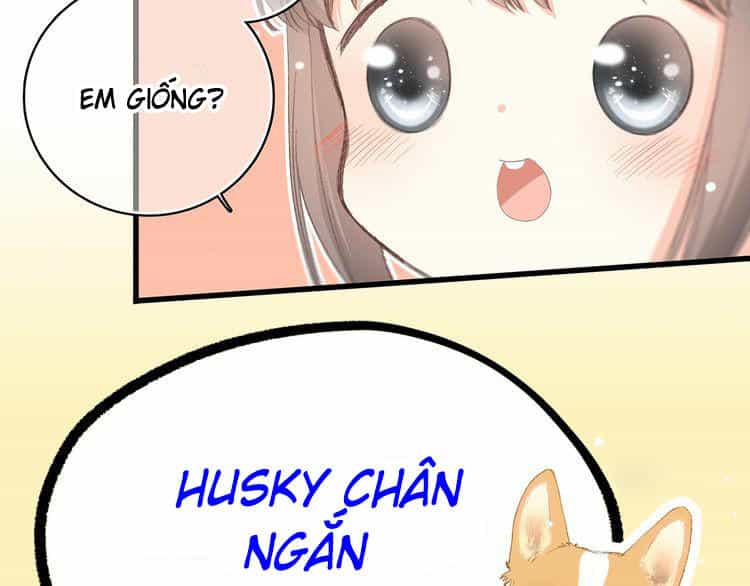 Con Tim Rung Động - Chương 9 - ảnh 24