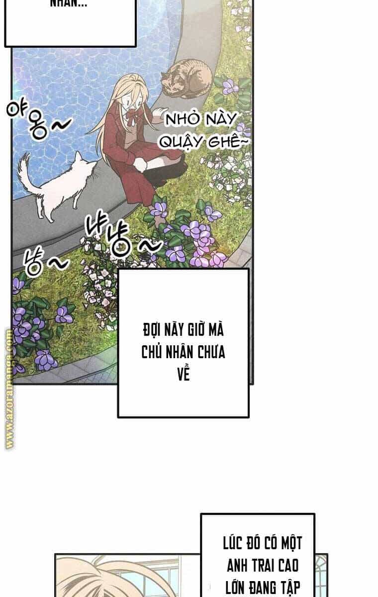 Con Trai Út Huyền Thoại Nhà Hầu Tước - Chương 77 - ảnh 63