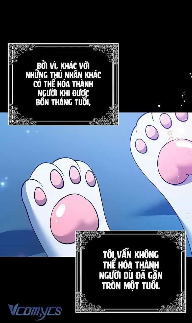 Công Chúa Bạch Hổ Không Có Nguy Hiểm Nha! - Chương 1 - ảnh 54