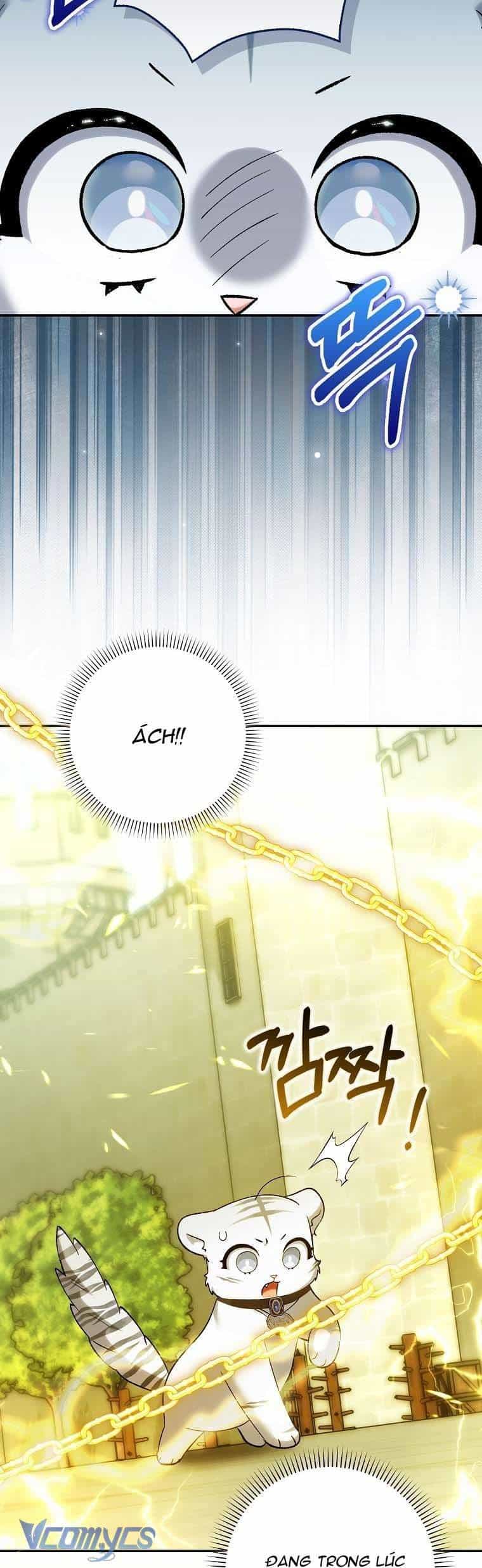 Công Chúa Bạch Hổ Không Có Nguy Hiểm Nha! - Chương 20 - ảnh 39