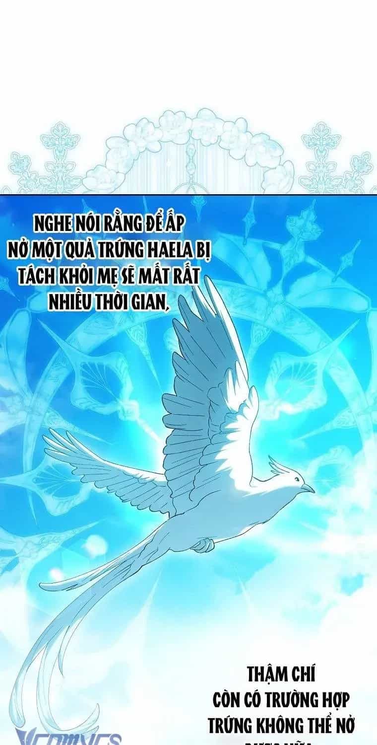 Công Chúa Bạch Hổ Không Có Nguy Hiểm Nha! - Chương 27.1 - ảnh 84
