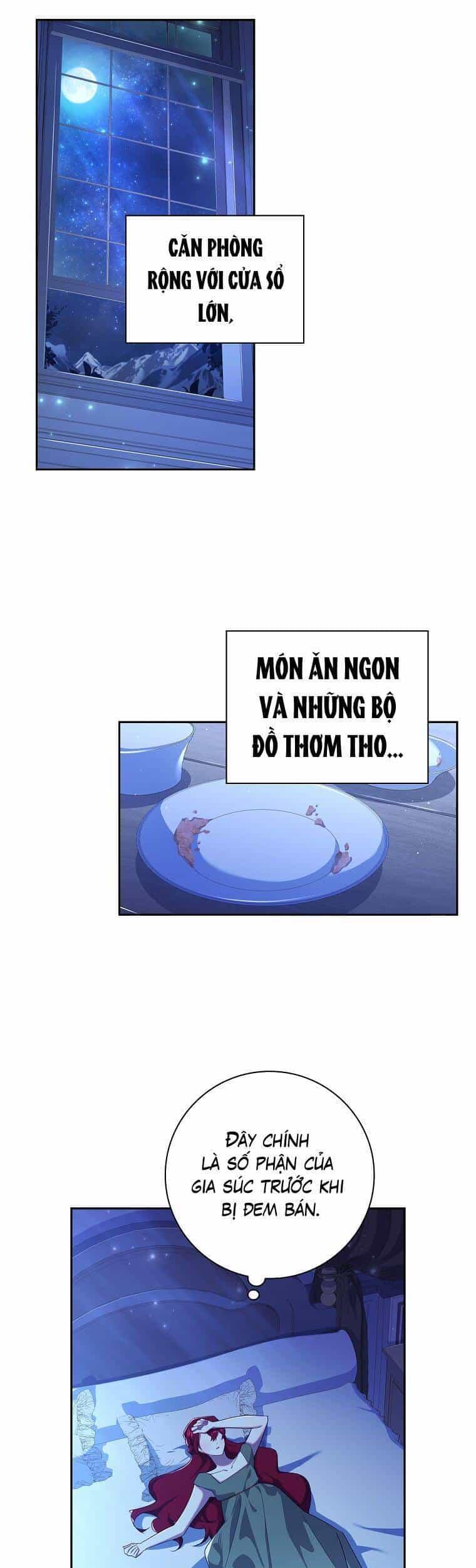 Công Chúa Gác Mái - Chương 3 - ảnh 29