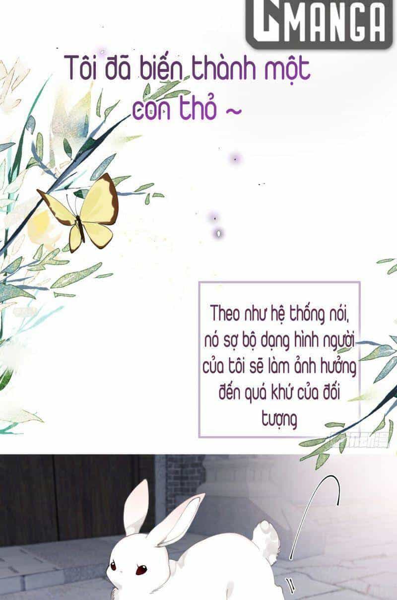 Công Chúa Pháo Hôi Muốn Tùy Tiện Đến Cùng - Chương 26 - ảnh 3