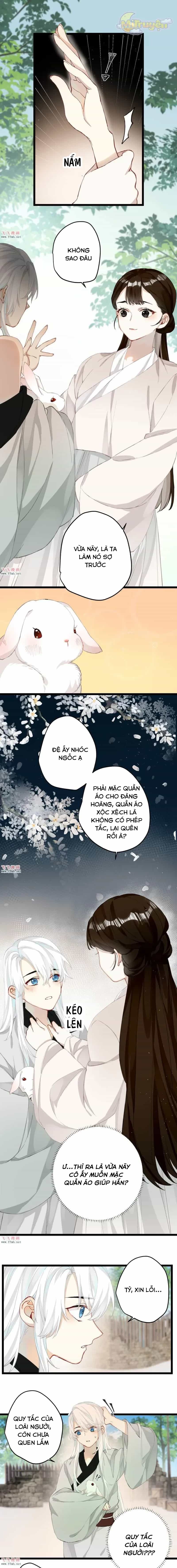 Công Chúa Pháo Hôi Muốn Tùy Tiện Đến Cùng - Chương 28 - ảnh 5