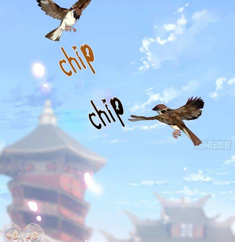 Công Chúa Pháo Hôi Muốn Tùy Tiện Đến Cùng - Chương 3 - ảnh 42