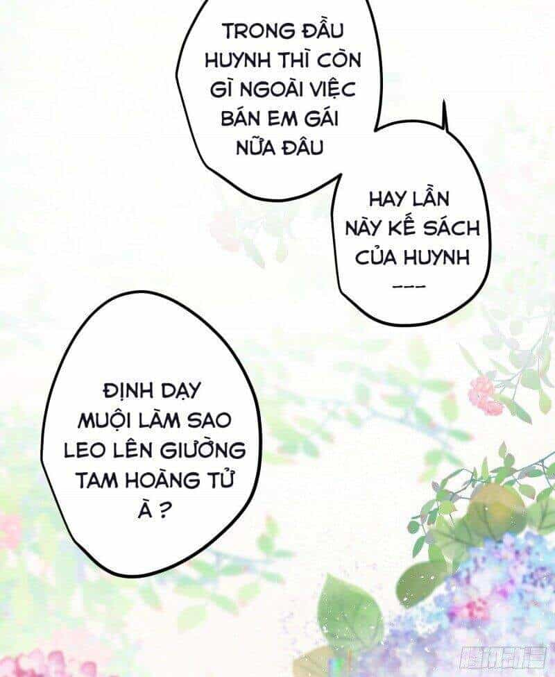 Công Chúa Pháo Hôi Muốn Tùy Tiện Đến Cùng - Chương 33 - ảnh 22