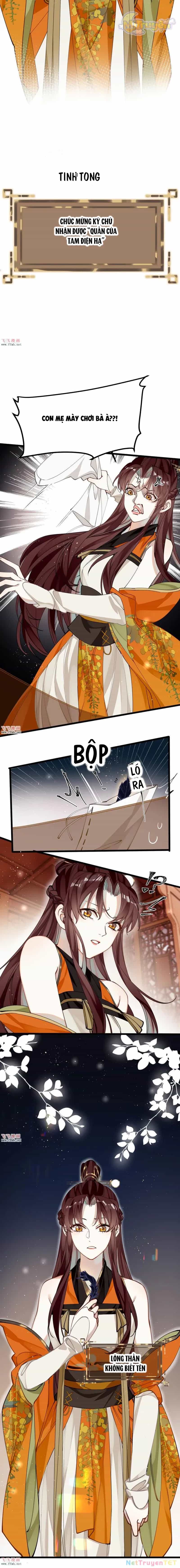 Công Chúa Pháo Hôi Muốn Tùy Tiện Đến Cùng - Chương 44 - ảnh 3